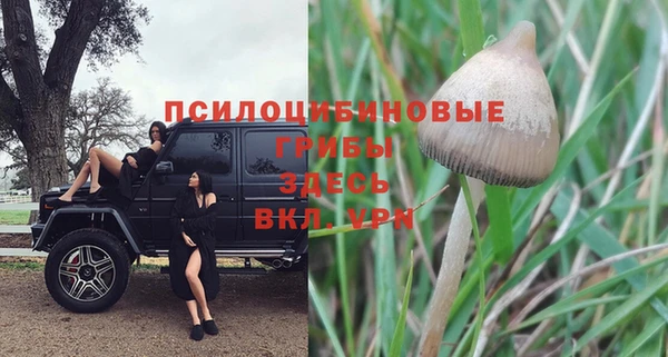 альфа пвп Медногорск