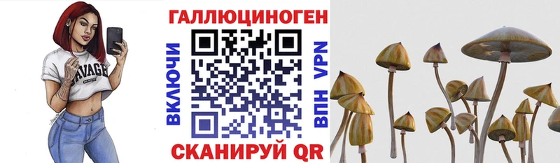 даркнет сайт  даркнет формула  ОМГ ОМГ как зайти  Псилоцибиновые грибы ЛСД  Власиха 